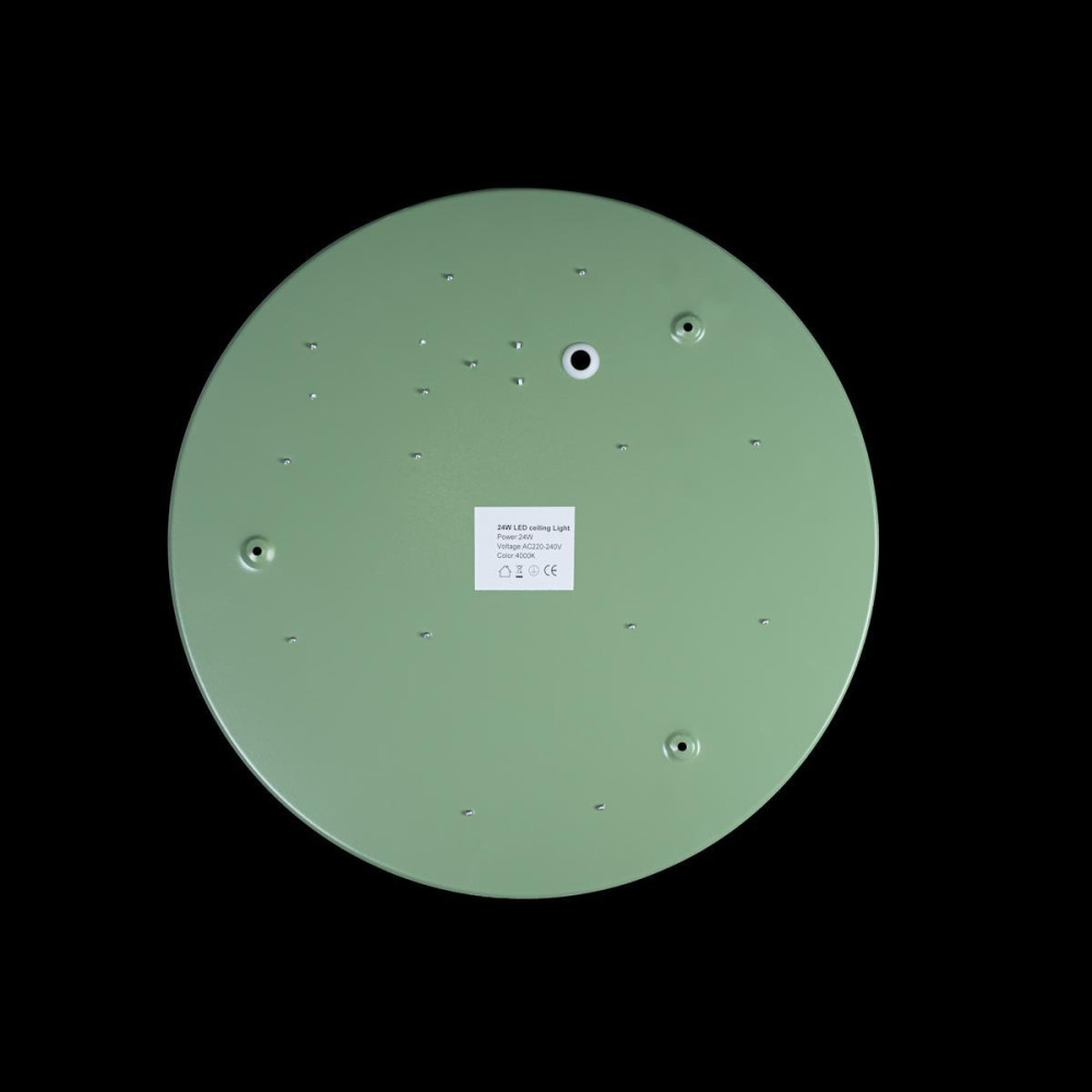 Потолочный светильник Axel 10003/24 Green