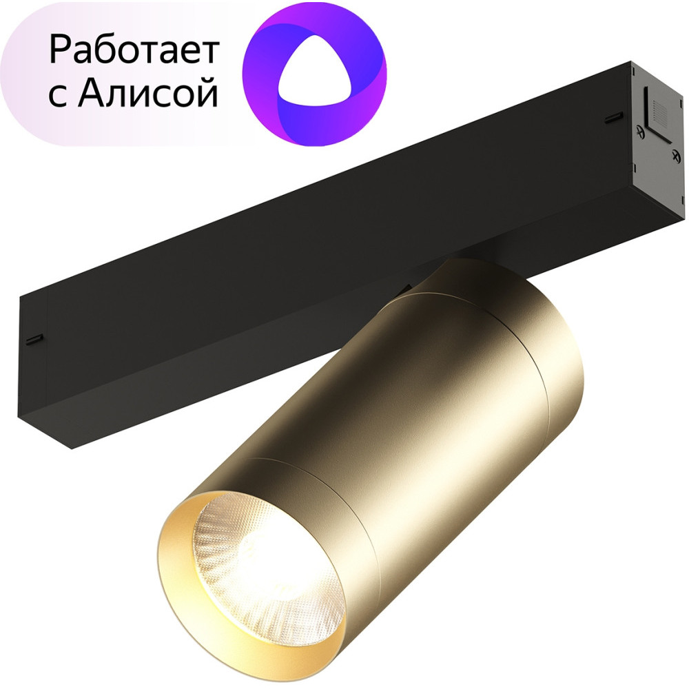 Трековый светильник Smart Spot DK8020-BG